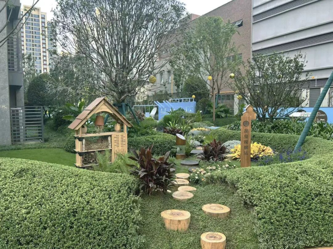 1765439121786427.jpg 640 (15).jpg